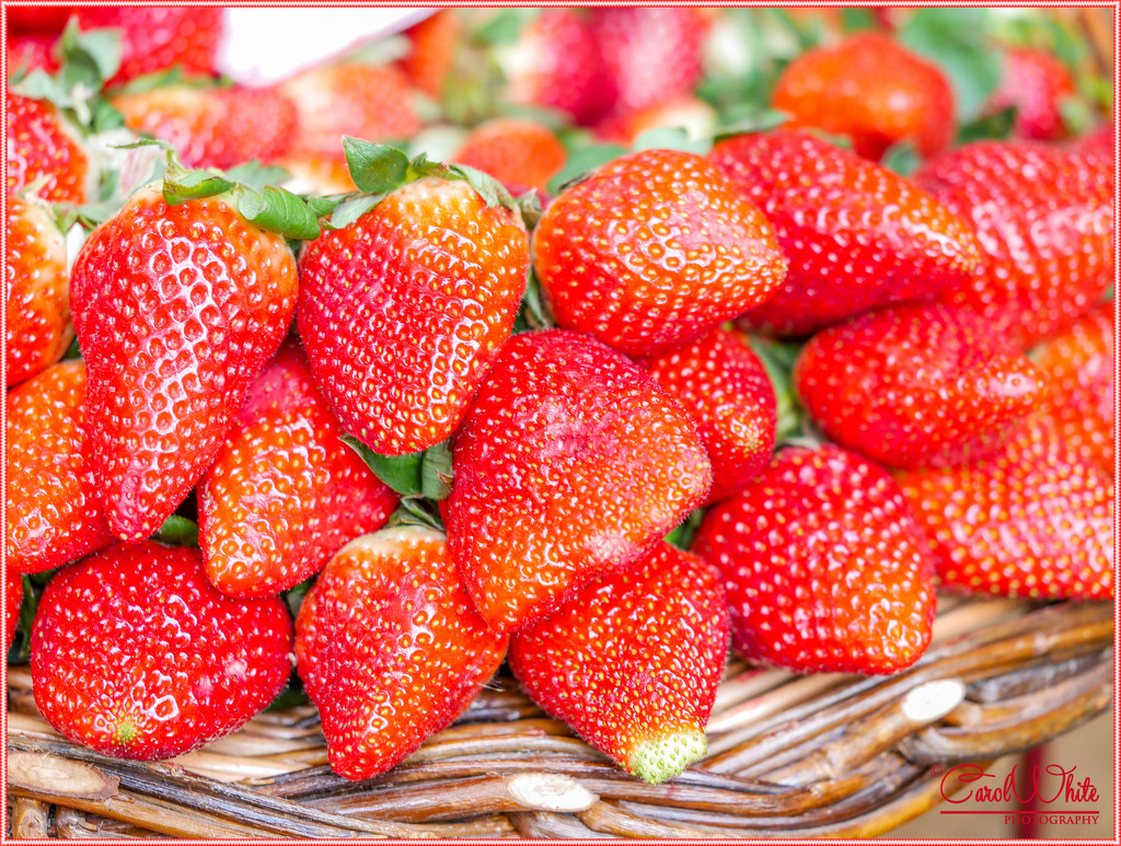 Luscious Strawberries (Funchal Fruit Market) by carolmw