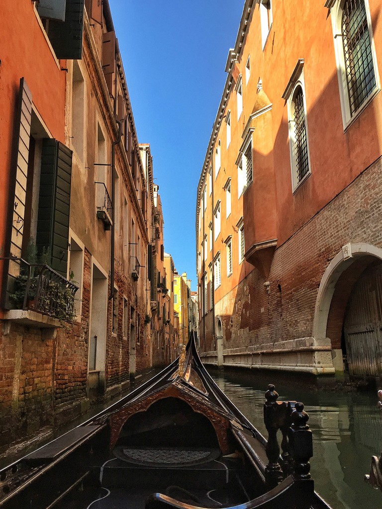 strolling in Venezia by cocobella