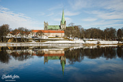 15th Mar 2016 - Nidaros Cathedral reflected in the river