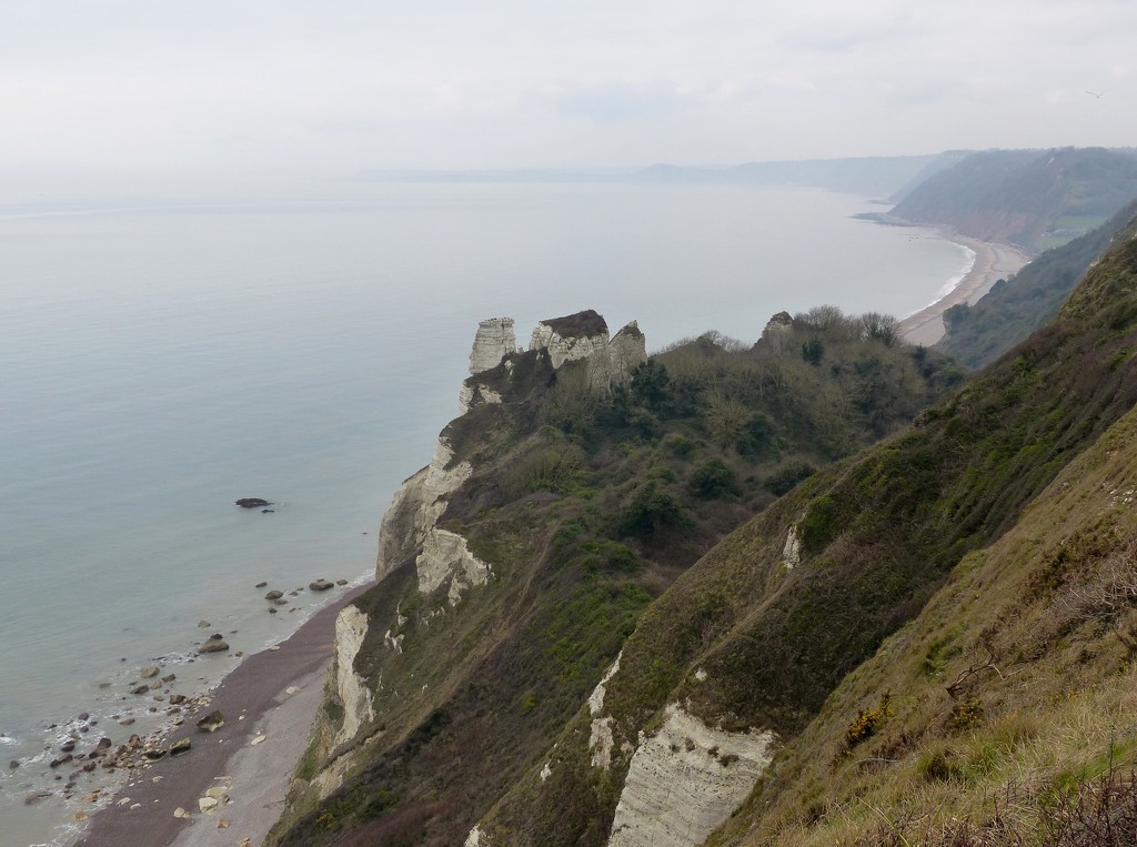 Beer, Dorset by susiemc