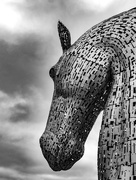 16th Mar 2016 - One of the "Kelpies"