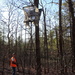 A boy and his tree stand by homeschoolmom