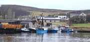 17th Mar 2016 - Scalloway Harbour