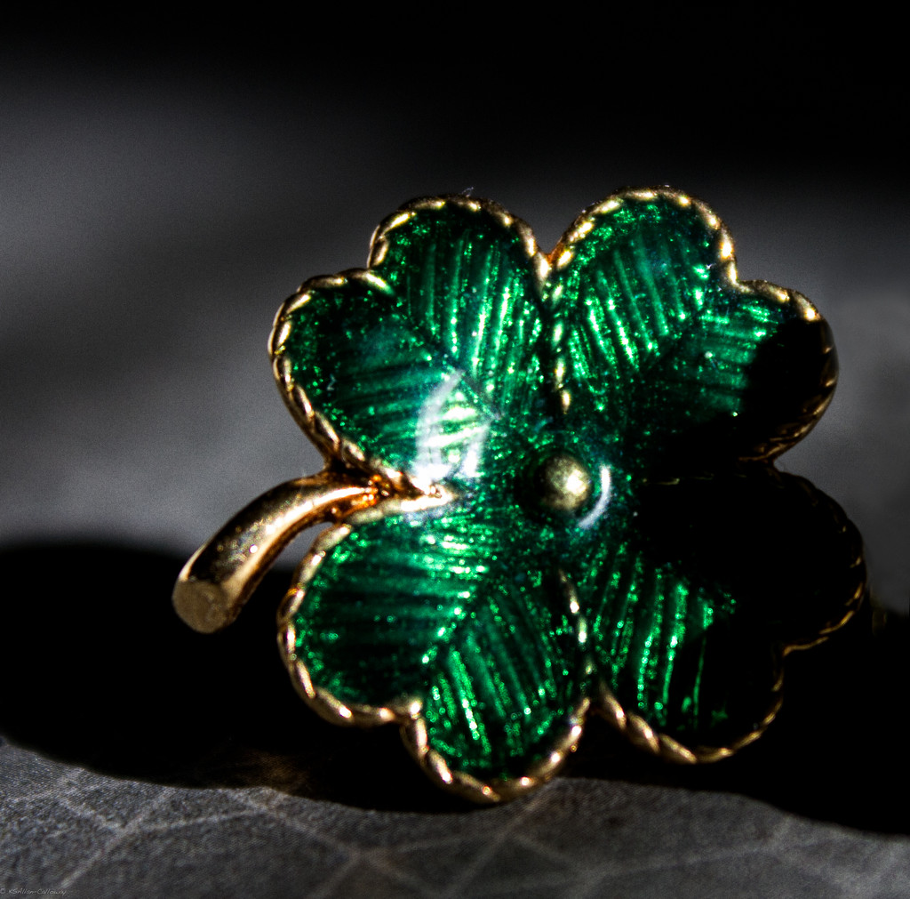Shamrock for St. Paddy's Day by randystreat