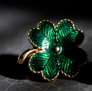 17th Mar 2016 - Shamrock for St. Paddy's Day