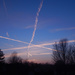 Jet trails at dusk  by rhoing