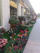 14th Mar 2016 - Flower shop