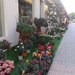 Flower shop by chimfa