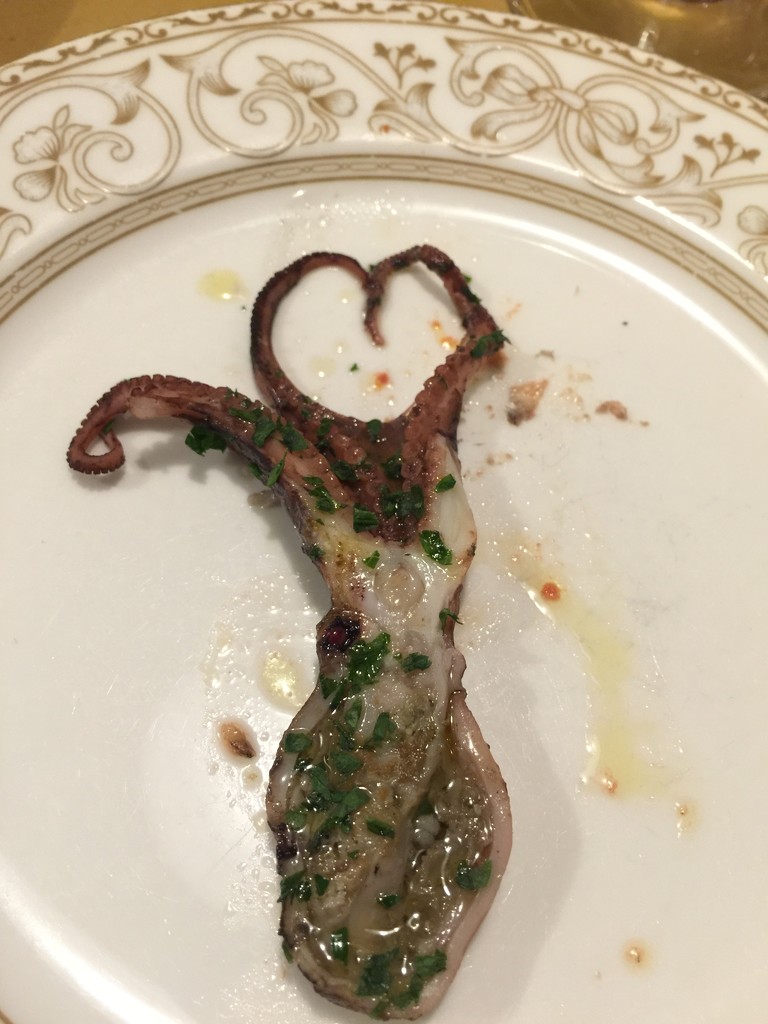 Heart squid.  by cocobella
