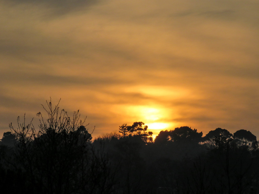 18/03/16 Sunset & mist by m2016