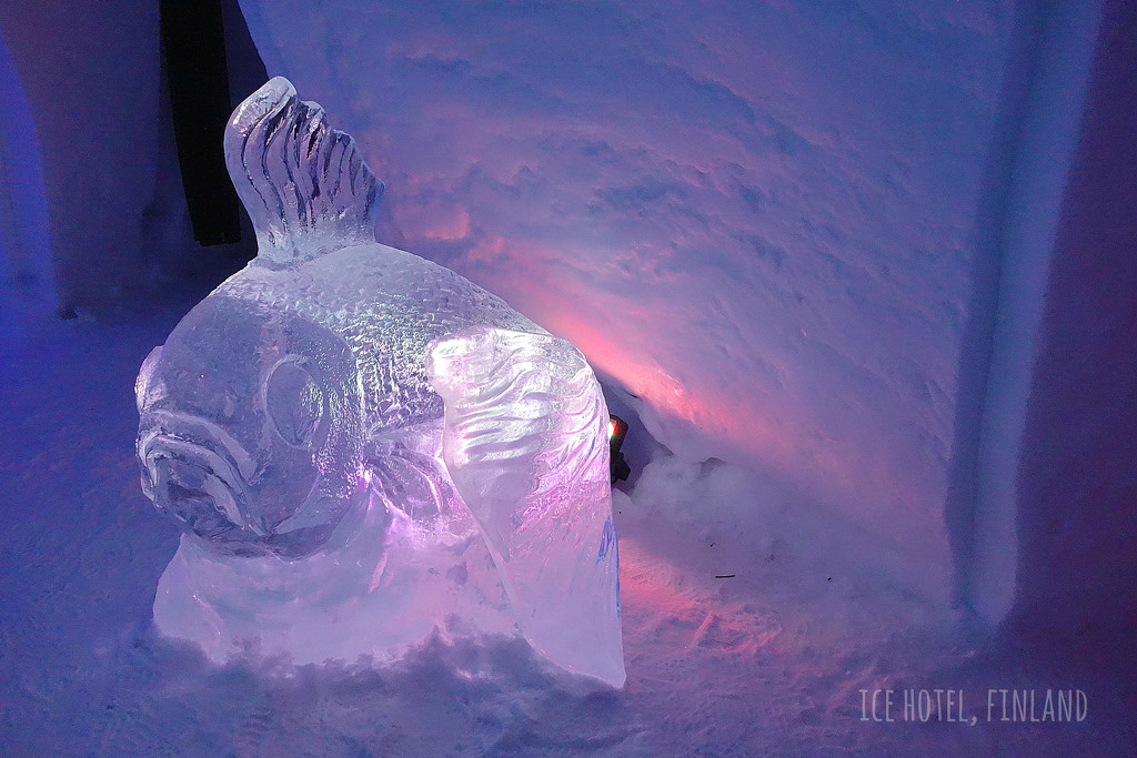 Ice sculpture by darrenboyj