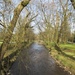 River Brun, Thompson Park, Burnley by fishers