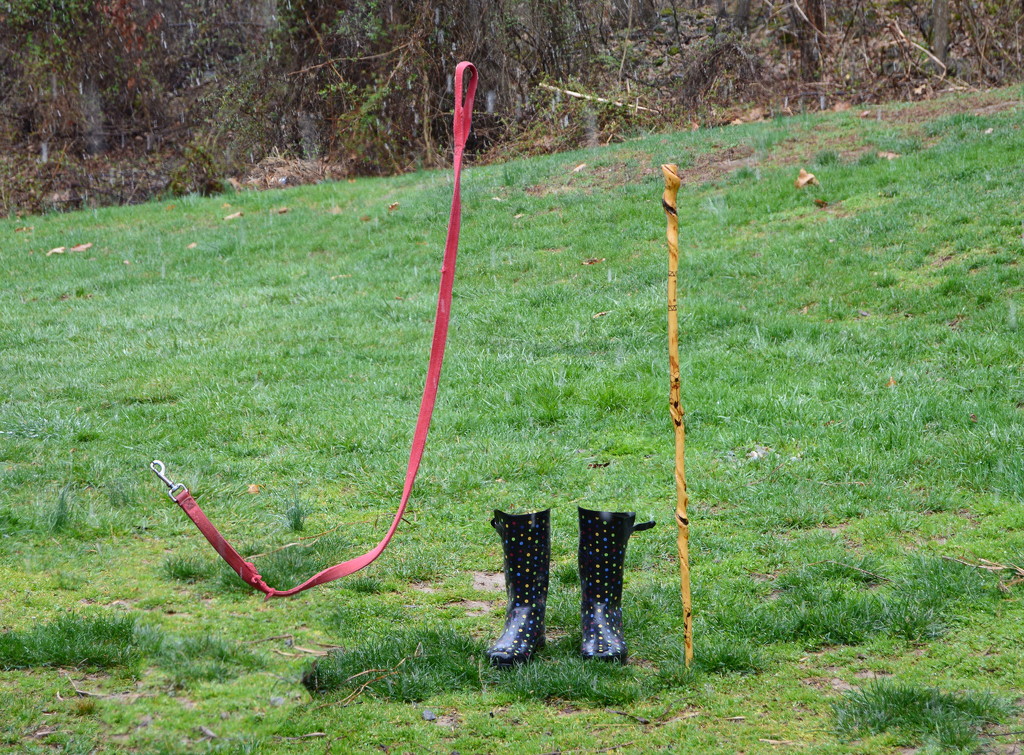 Boots, leash and stick by francoise