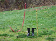 19th Mar 2016 - Boots, leash and stick