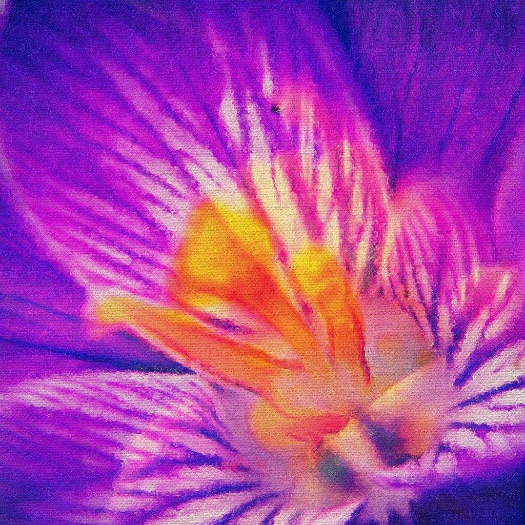 Purpura aureate by studiouno