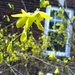 More spring by tatra