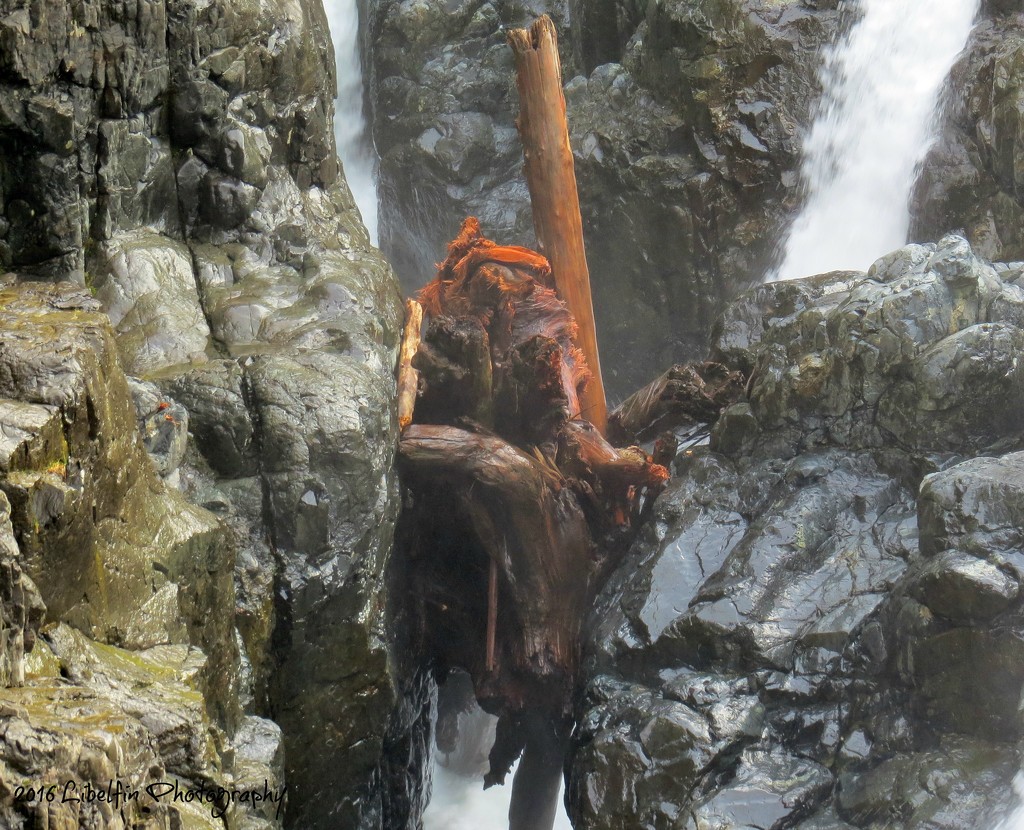 Wooden transformer hiding in the waterfall.... by kathyo