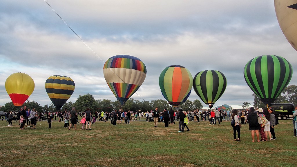 Balloons over Waikato by happypat