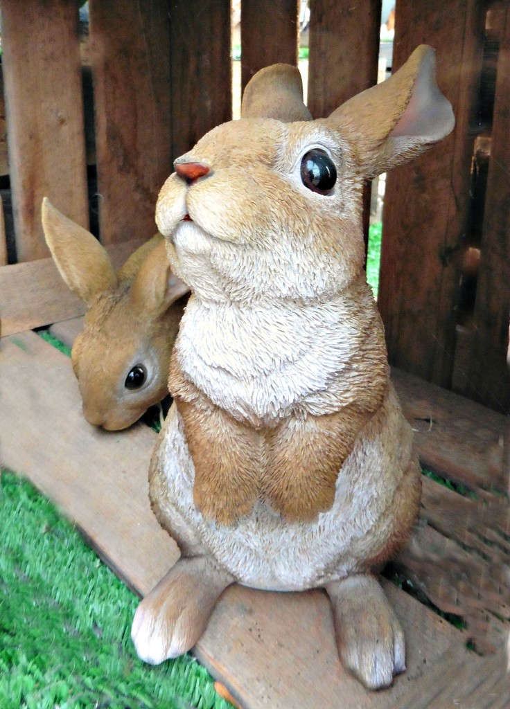 Bunny Rabbit. by wendyfrost