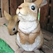 Bunny Rabbit. by wendyfrost