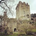 Blarney Castle  by brookiew