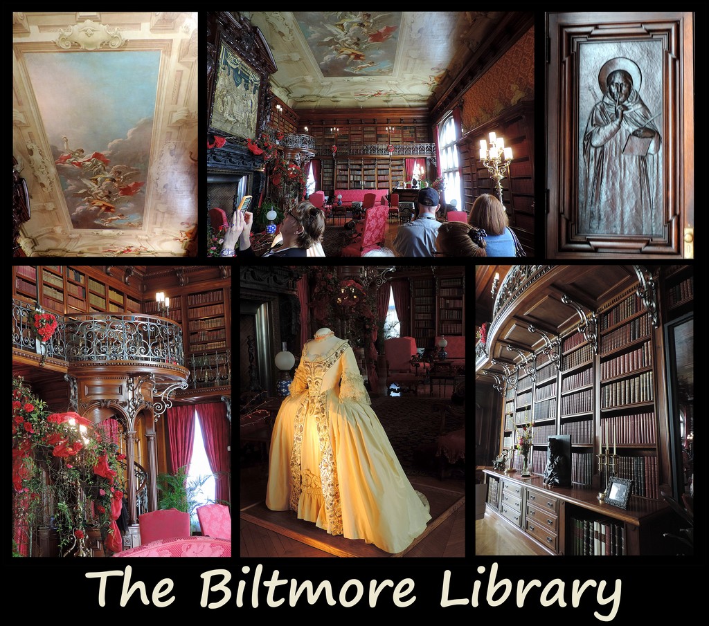 The Biltmore Library! by homeschoolmom