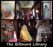 19th Mar 2016 - The Biltmore Library!