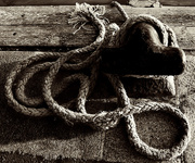 14th Mar 2016 - Old Rope