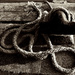 Old Rope by davidrobinson