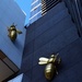 Huge Golden Bees. by happysnaps