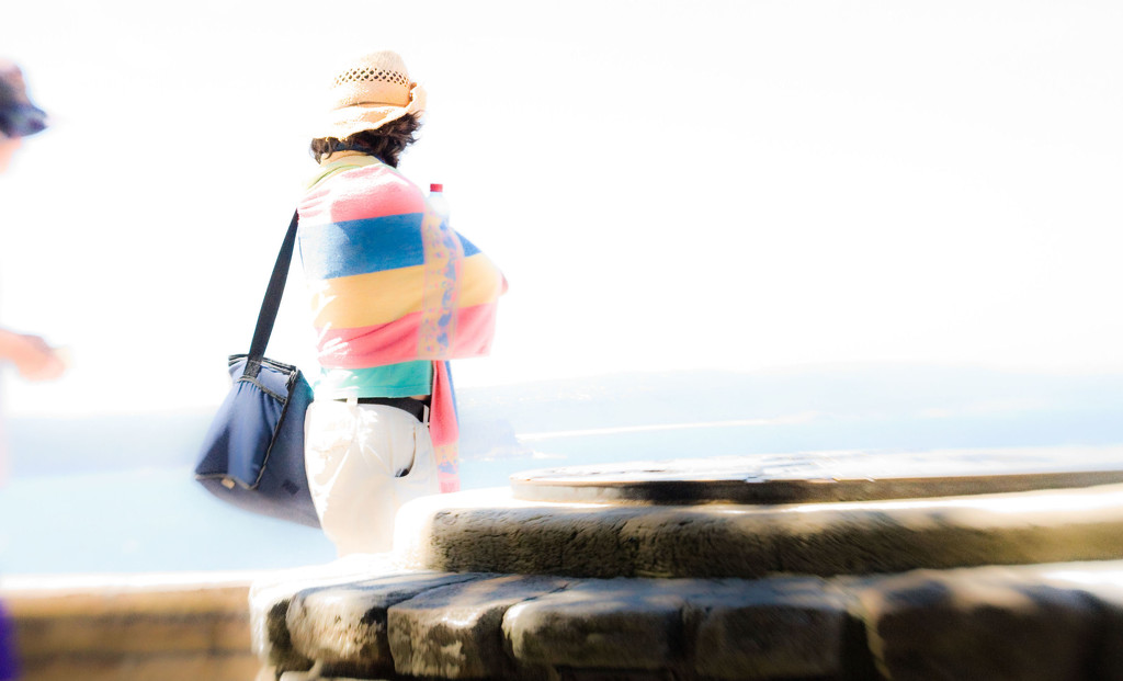 the hat the bag and the striped towel by annied