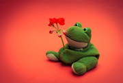 21st Mar 2016 - (Day 37) - Frog & Flowers