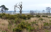21st Mar 2016 -  View from Arne RSPB Reserve 