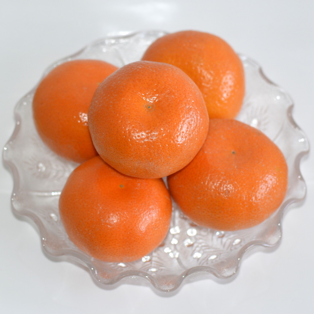 Mandarins For Rainbow Orange_DSC6784 by merrelyn