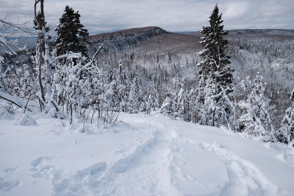 View from Oberg Mt by tosee