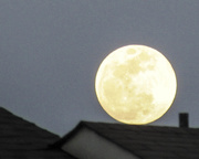 22nd Mar 2016 - Rooftop Moon