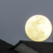 Rooftop Moon by marylandgirl58
