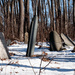 Forgotten graves by dianen