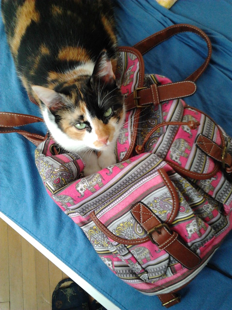 helping me pack :> by zardz