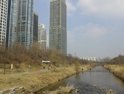 17th Mar 2016 - in Gangnam by the river