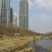 in Gangnam by the river by zardz