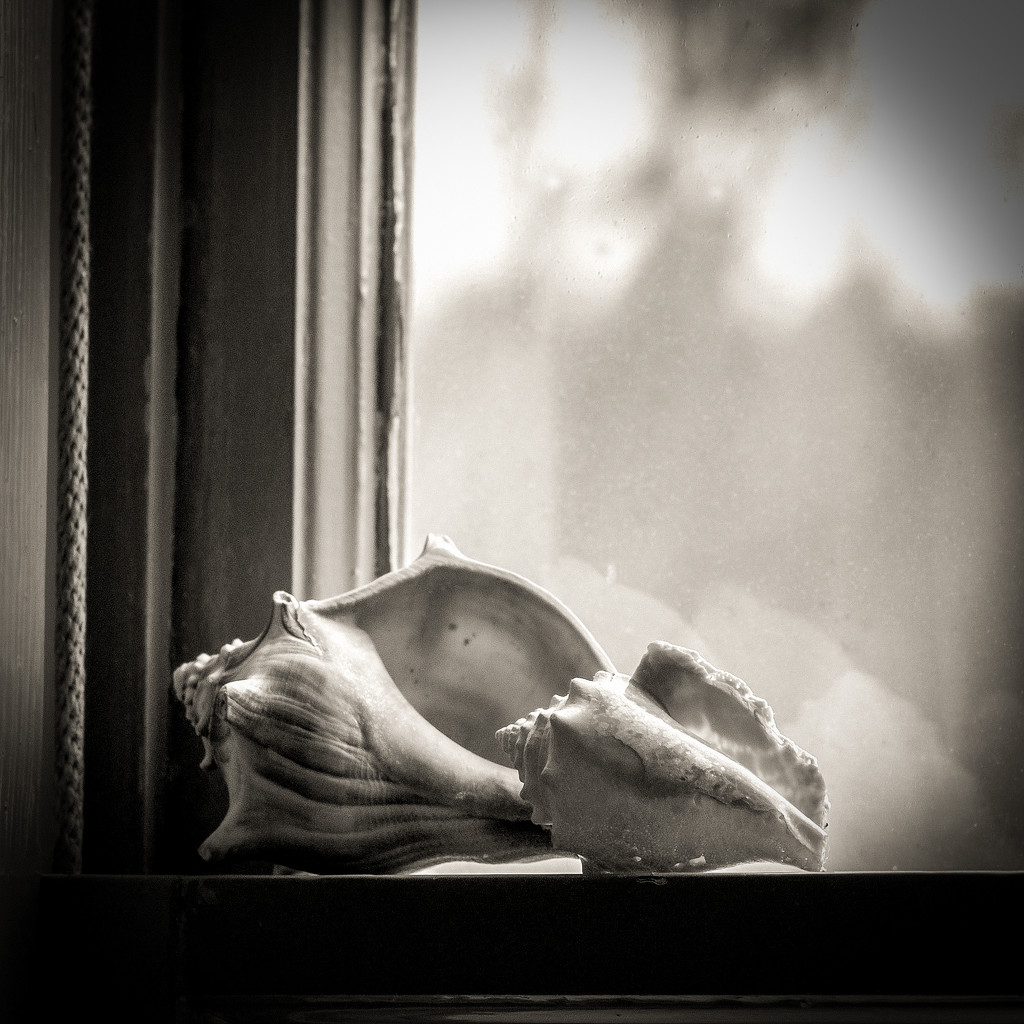 Window shells by berelaxed