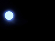 23rd Mar 2016 - Blue moon