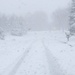 0323whiteout by diane5812