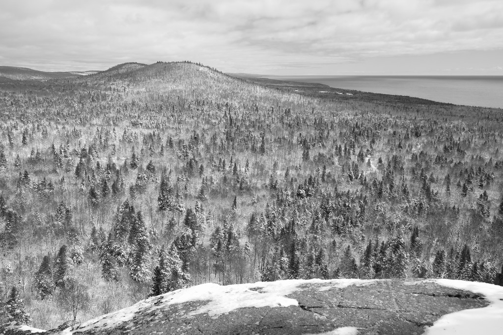 View from Oberg Mt. by tosee