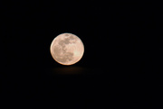 23rd Mar 2016 - Moon shot