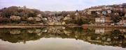 24th Mar 2016 - Mill Pool Reflections