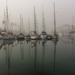 Misty Morning by seacreature