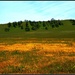 Picture Perfect Landscape by soylentgreenpics