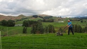 25th Mar 2016 - Lawn mowing NZ style